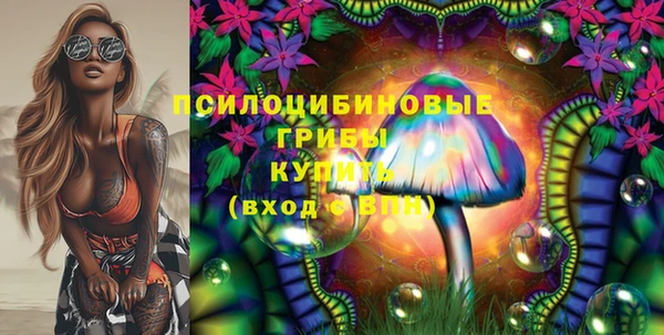 2c-b Тихвин